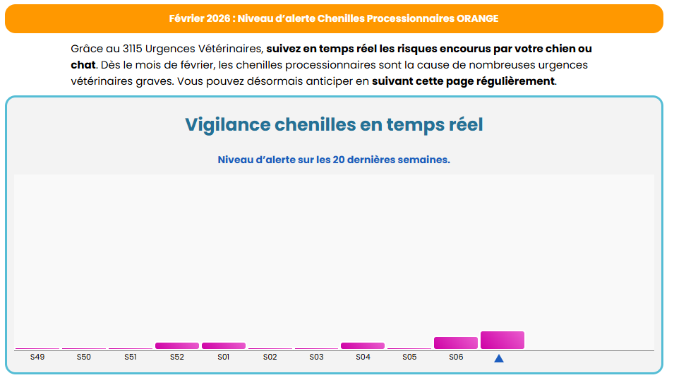 Capture d ecran 2026 02 13 chenilles 114845